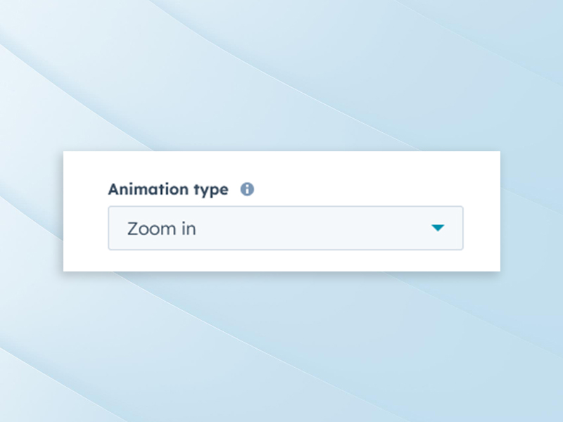 Hover-Animation-Option